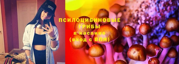spice Медвежьегорск