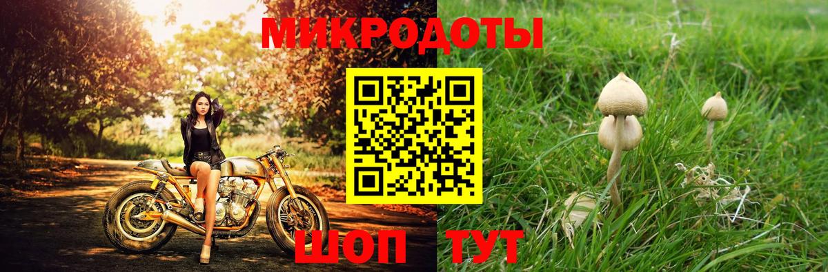 Ревда  Галлюциногенные грибы мухоморы  Вход с VPN  Галлюциногенные грибы Psilocybine cubensis 